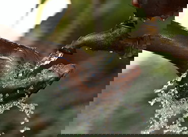 冬季运动旅游开发